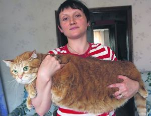 � ������� ����� ��� ����� 17 �����������